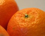 oder abbürsten Orangen