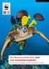 Die Meeresschildkröten sind vom Aussterben bedroht.