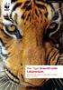 WWF aktuell Nr. 3, August Der Tiger braucht mehr Lebensraum. Bitte helfen Sie mit, die vom Aussterben bedrohten Tiere zu schützen.