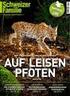 Bartgeier. Ein Vortragsdossier des WWF Schweiz. WWF Schweiz. Hohlstrasse 110 Tel.: +41 (0) Zürich