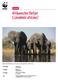 (Loxodonta africana) Factsheet. Rüsseltiere Proboscidea Elefanten Elephantidae. Ordnung. Familie. Afrikanischer Elefant. Gattung