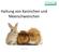 Haltung von Kaninchen und Meerschweinchen. Dr. Kerstin Titze 1