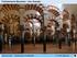 Frühislamische Moscheen hier: Granada. Johannes Cramer Baugeschichte I: Das Mittelalter : Moscheen