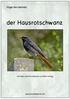 Vogel des Monats. der Hausrotschwanz. mit Fotos und Informationen von Beni Herzog.