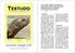 Die Dreikiel-Wasserschildkröte, Mauremys mutica (CANTOR 1842): Bemerkungen zur Haltung, Nachzucht und Aufzucht