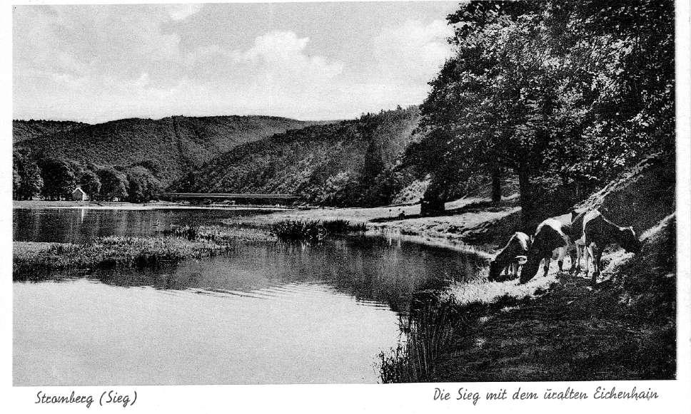 Die Aufnahme erfolgte unweit der Mündung des Mühlenbachs in die Sieg oberhalb Steilufers. Die Postkarte ist laut einem Internethändler 1949 gelaufen.