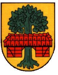 1975 wurden verschiedene Wappenentwürfe eingereicht, in die auch Elemente des alten Selmer Gemeindewappens und des Amtswappens eingeflossen waren.
