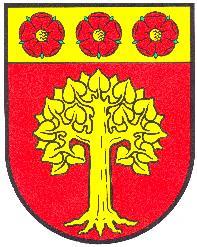 Arnsberg am 01.08.1977 genehmigt wurde. Das Wappen enthält eine in gelbem Farbton gehaltene Linde vor einem roten Hintergrund.