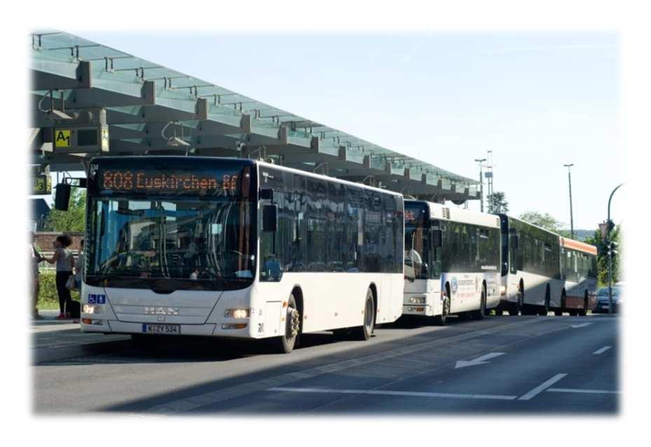 Kreis Euskirchen Fahrleistung Insg. rund 6,3 Mio. Wagenkilometer von der NL EU pro Jahr 58 gefahrene Linien(inkl. TaxiBus und SVE/REVG-Linien) ca.