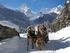 sanft-mobiler Urlaub in den schönsten Alpenorten Europas!